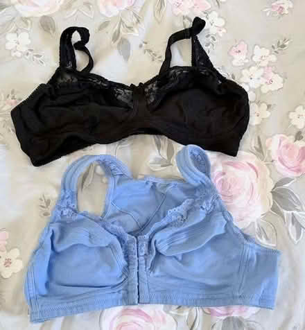 Photo of free Women's Clothing Sizes 14-16 (Ashburton SE25) #3