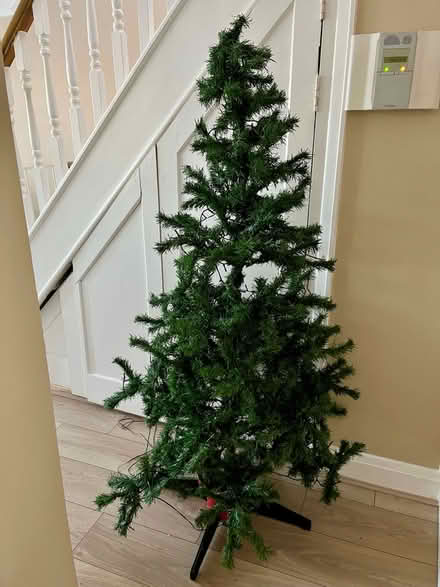 Photo of free Christmas Tree (Bexley DA5) #1