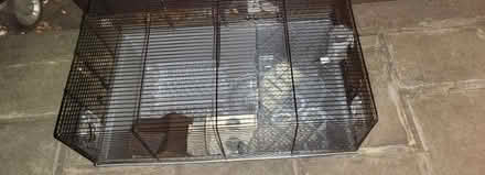 Photo of free Hamster cage (Bruntsfield EH10) #1