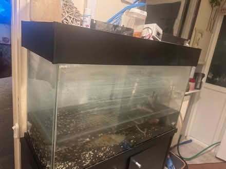 Photo of free 130 lt fish tank (Twerton) #1