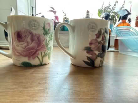 Photo of free 2 x Pretty Kew garden mugs (Newlyn TR18) #1