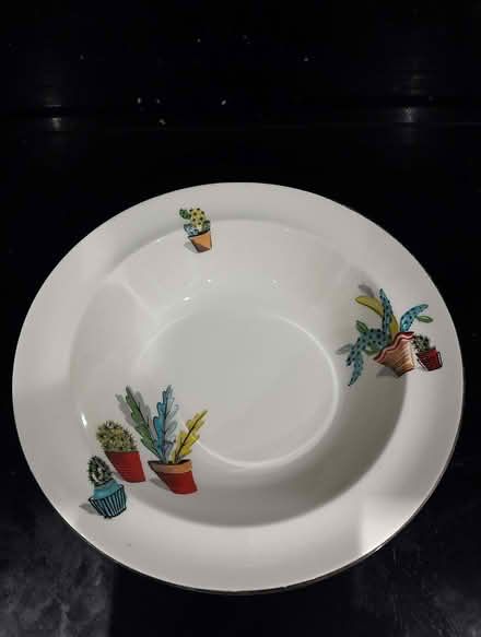 Photo of free Vintage Alfred Meakin China from the 1950s Plates & Bowls (Buxted TN22) #1