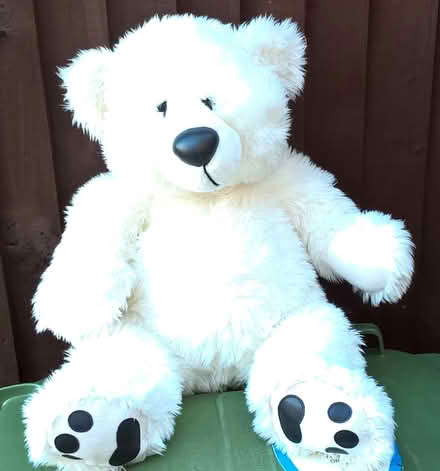 Photo of free Large Teddy (Hoddesdon EN11) #1