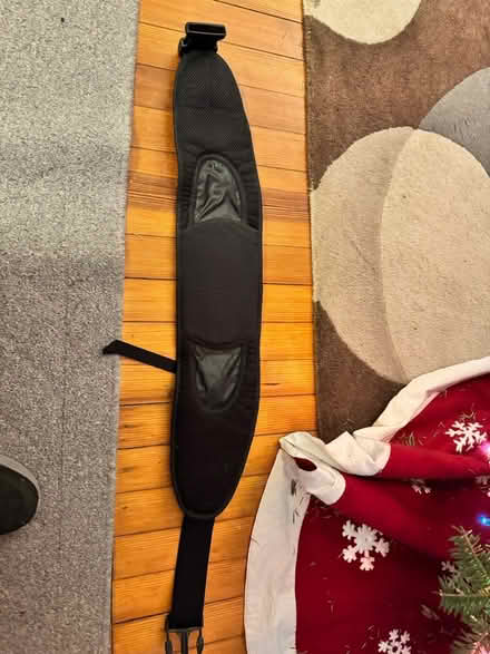 Photo of free Waist strap (Woodridge) #1