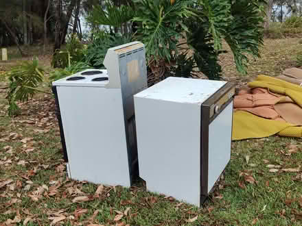 Photo of free Old electric cook and dishwasher (Sanctuary point) #1