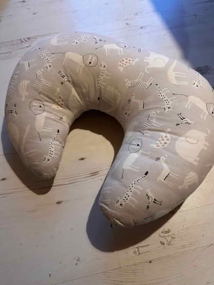 Photo of free Breastfeeding support pillow (Oldfield Park) #1