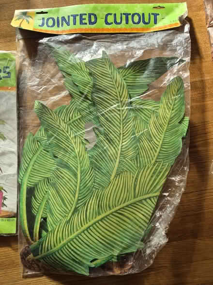 Photo of free Tropical decorations (20817) #2