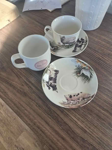 Photo of free Cups and saucers (Ford end CM3) #1