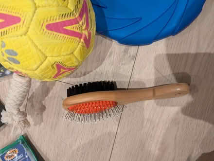 Photo of free Assorted dog stuff (SE16) #4