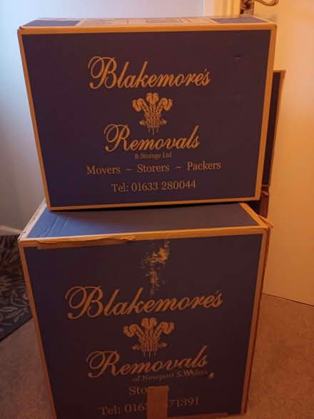 Photo of free 5 Removers Boxes (Iffley OX4) #1