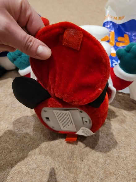 Photo of free Singing Christmas Decorations (Lloyd Park) #3