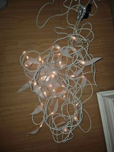 Photo of free Christmas lights (Hillingdon HA4) #1