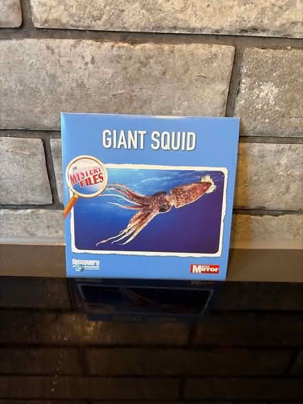 Photo of free Giant Squid CD (Tilehurst RG30) #1