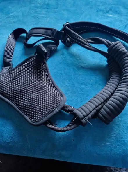 Photo of free Halti no pull harness size M (Biddulph) #2