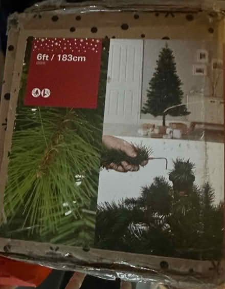 Photo of free Christmas tree 6 foot (Chiswick W4) #4