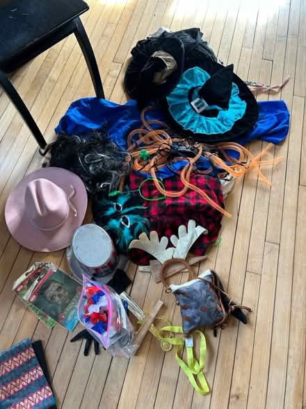 Photo of free Dress up /halloween costumes (Wilmette) #1