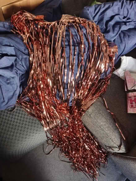 Photo of free Rose gold celebration curtain (Ilford IG1) #1