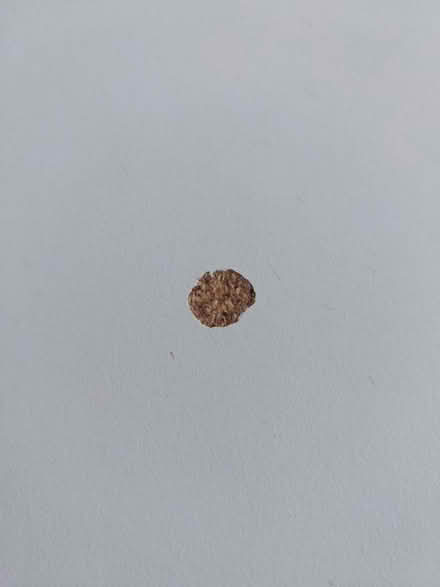 Photo of free Ikea meltorp table (S43 Staveley) #2