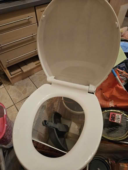 Photo of free White toilet seat (Radcliffe M26) #2