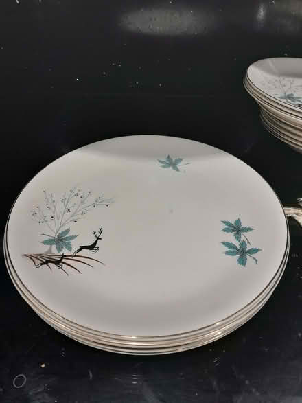 Photo of free Vintage Alfred Meakin China from the 1950s Plates & Bowls (Buxted TN22) #4