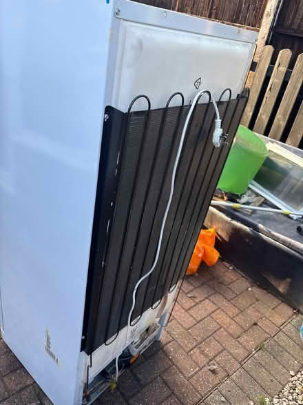Photo of free Tall fridge freezer (S5 wincobank) #3