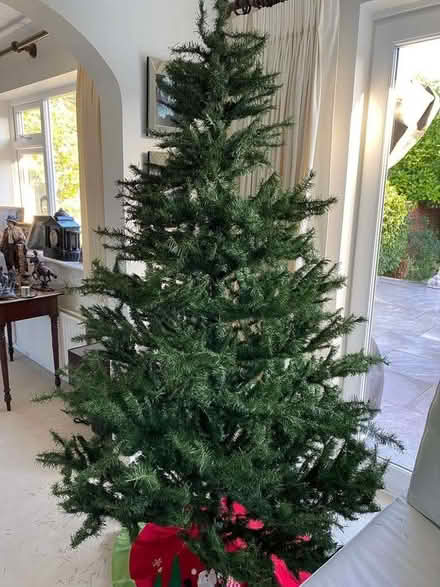 Photo of free 6ft Xmas Tree (Bracknell Forest RG12) #1