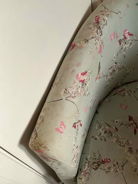 Photo of free Beautiful Birds Tub Chair (Sprowston (NR7)) #4