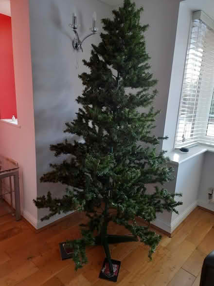 Photo of free Xmas tree (Solihull B91) #1
