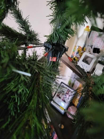 Photo of free 6ft 5 Christmas Tree (Prenton CH43) #3