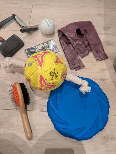 Photo of free Assorted dog stuff (SE16) #3