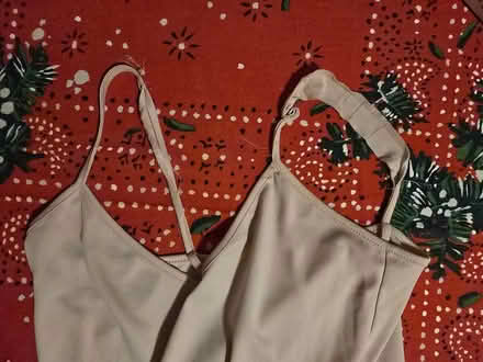 Photo of free Nude Camisole (West 7th) #4