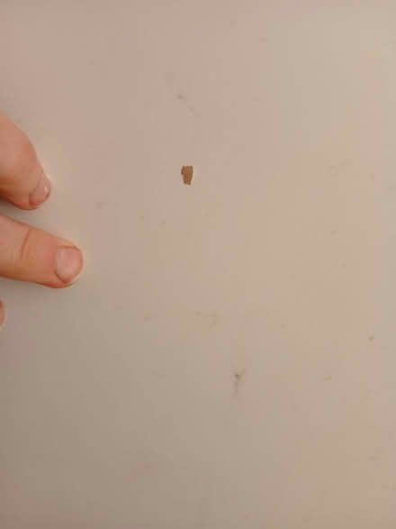 Photo of free King size ikea bad frame (SE9) #3