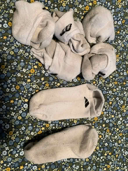 Photo of free Ankle socks- white x6 (St. Clair & Victoria Park) #1
