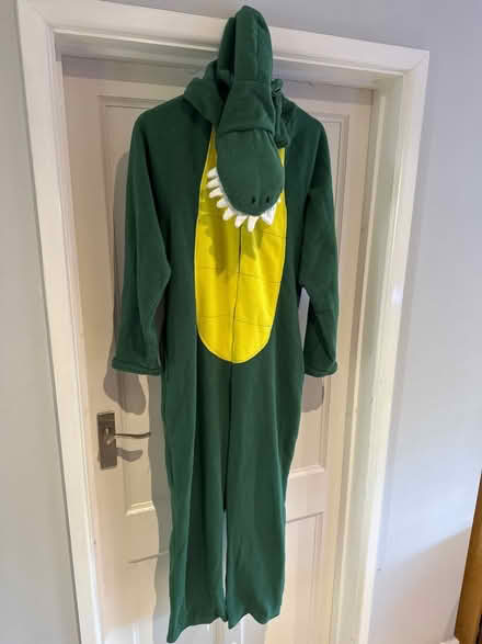 Photo of free Crocodile onsie (Burpham, Guildford) #1