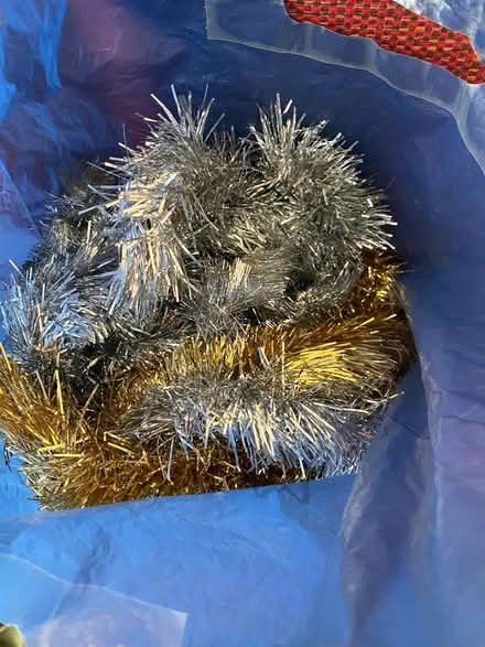 Photo of free Tinsel (IP4) #1