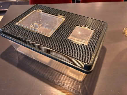 Photo of free Live food containers (SW11) #2