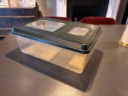 Photo of free Live food containers (SW11) #1