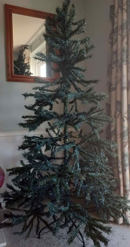 Photo of free 6ft Christmas tree (Larkhall) #2