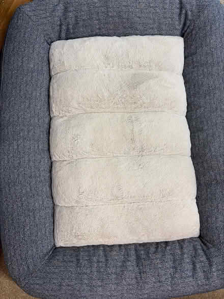 Photo of free Dog bed very large. 4x3 (Saratoga Herriman Ave) #3