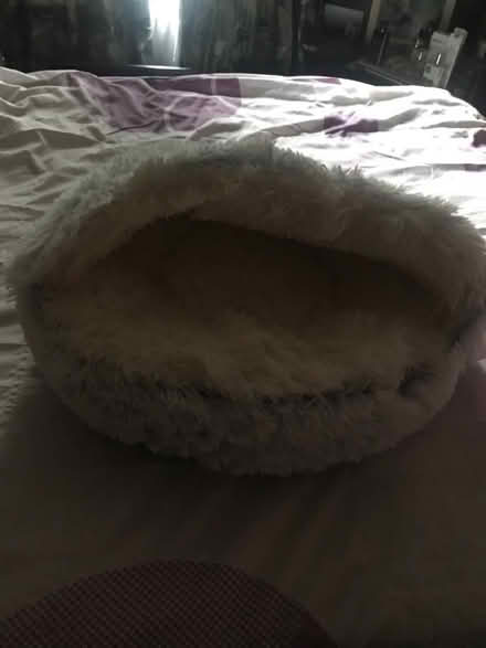 Photo of free Cat bed (Knighton LD7) #1