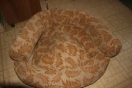 Photo of free Dog bed frame (Big Timber & Randall Rd, Elgin) #1