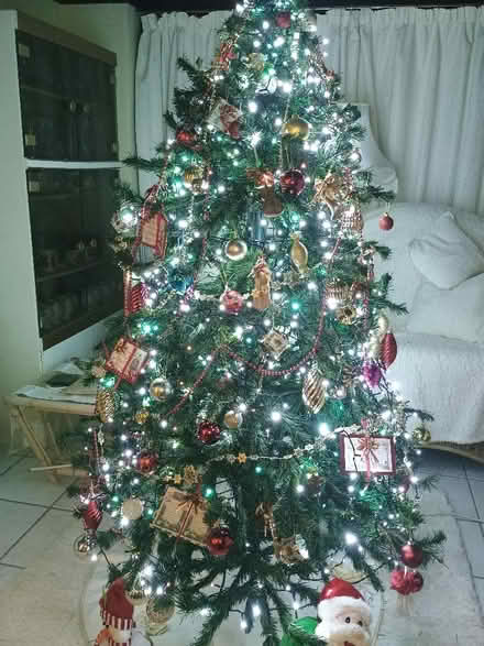 Photo of free Christmas tree 🎄 (Great Yarmouth NR30) #3