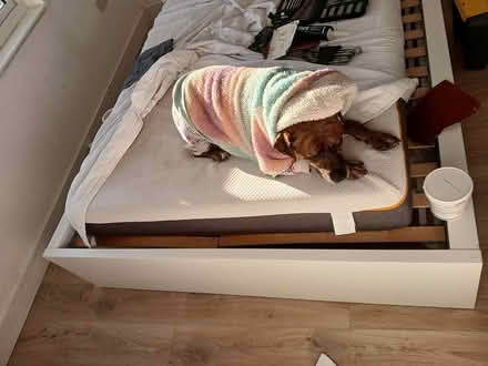 Photo of free King size ikea bad frame (SE9) #2