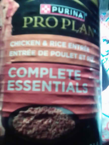 Photo of free Doggy Vittles 10031 (Hamilton Heights 10031) #4