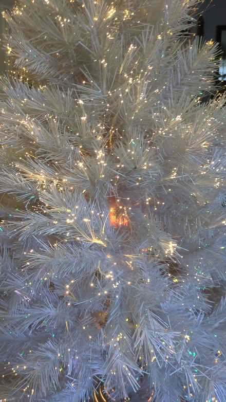 Photo of free White Christmas Tree (Epsom KT18) #4