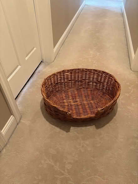 Photo of free Dog basket (Telford) #1