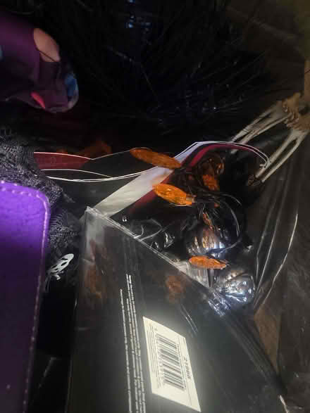 Photo of free Halloween decs (Cavendish DE23) #2