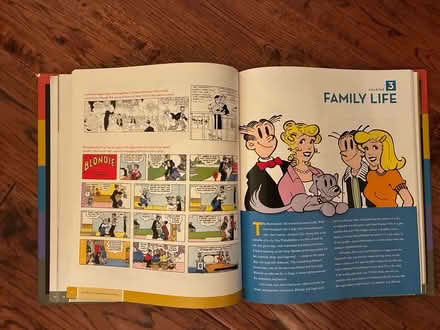 Photo of free Blondie book (Bronte area) #2