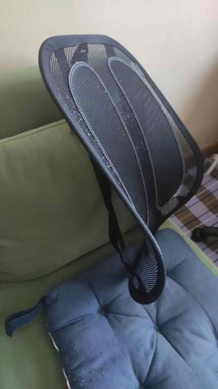 Photo of free office chair back support & pad (Orchard Brae/Comely Bank EH4) #1