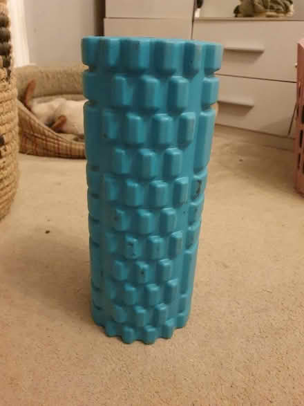 Photo of free Back roller yoga (Kendal LA9) #1